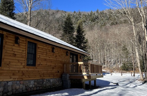 Town of Webb Cabin | NEW ADIRONDACK LUXURY CABIN WITH YEAR-ROUND HEATED PLUNGE POOL