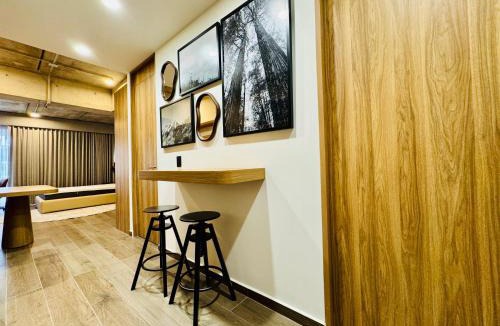 Lafayette Apartment | New Loft in Colonia Americana in the heart of Chapultepec
