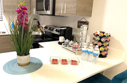 Mission Apartment | NEW! Luxury Villa on Shary