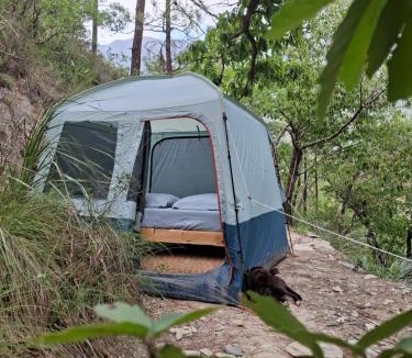 Monterrey Other | Ogachi Mini Glamp