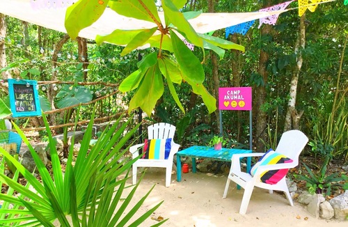 Akumal House | PEACE, LOVE & WIFI - Poolside Family Bungalow