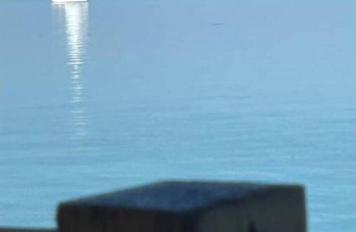 Laguna Vista House | Pelican Pete's Boathouse at South Padre Island Golf Club - Pet Friendly!