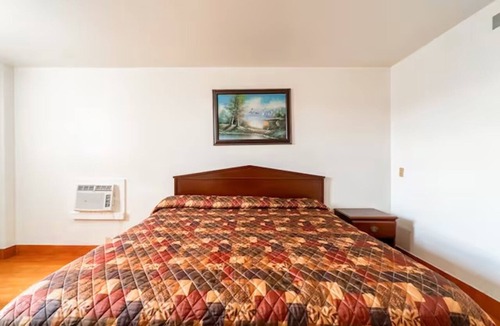 Brownsville Hotel | Pet-Friendly Room near Gladys Porter Zoo, 1.3 miles away only!