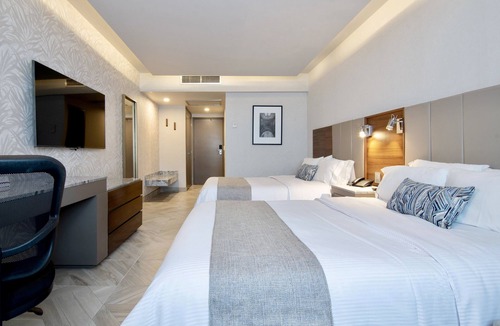Zona Minerva Hotel | Plaza Diana Hotel