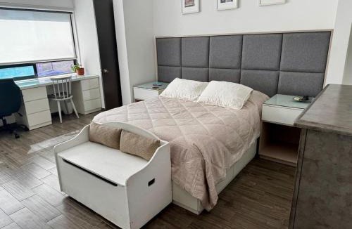 Monterrey House | PLAZA VERANO