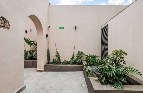 Downtown Queretaro Apartment | Primavera By Homirent