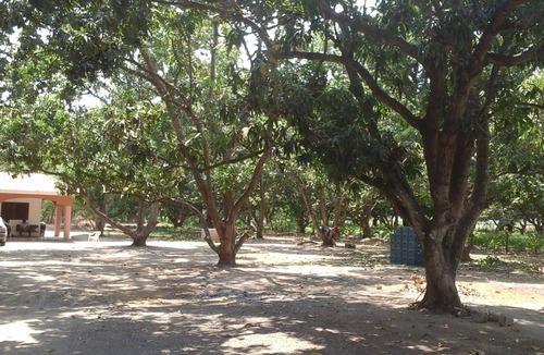 Mezcales House | PRIVATE 2BD RANCH 8 MILES FROM THE BEACH