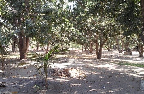 Mezcales House | PRIVATE 2BD RANCH 8 MILES FROM THE BEACH