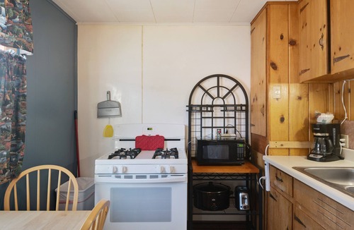 South Fork Cabin | Quaint dog-friendly log cabin with WiFi - prime hiking & skiing location