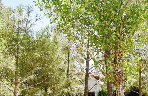 Santa Veronica Hotel | RANCHO SANTA VERONICA Rustic Hotel in the mountains, in Tecate B. C.