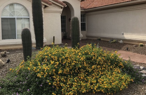 Saddlebrooke House | Relax With A Gorgeous Panoramic Golf Course and Mountain View