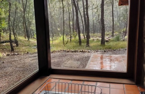 Mascota Cabin | Roca Venados