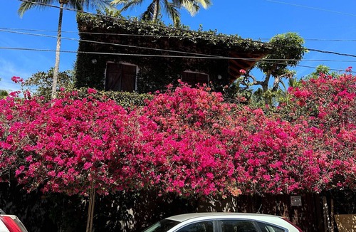 San Francisco House | Romantic Architectural Private Casa in San Pancho, Nayarit