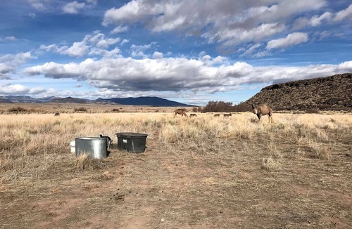 Capulin Cabin | Romantic Camping Yurt on Camel Farm near Alamosa, Colorado