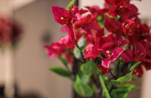Yuma Apartment | Safe Sanitized Modern Apartment In The Heart Of Yuma