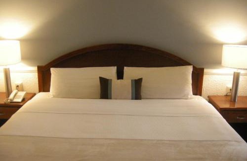 Lagos de Moreno Hotel | Scala Hotel