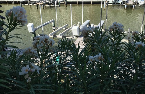 Laguna Vista House | SPI Golf Resort Getaway Overlooking The Harbor With Pier And Private Boat Lift