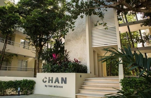 Akumal Condo | Stylish Jungle Condo, Walking Distance to Beach