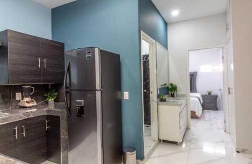 Zapotlanejo Apartment | Suite Jr Lujo en el Corazon de Zapotlanejo 203