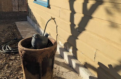 Ajo Cottage | Terrific 1-bedroom cottage with AC in charming Ajo