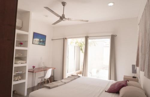 La Ventana Hostel | The Colony La Ventana