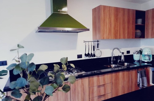 North Hotel Zone Apartment | The Green Loft, amazing New Studio
