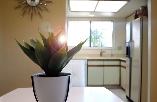 Palm Springs Condo | The Holiday Palms Close center of Palm Springs Permit #3244
