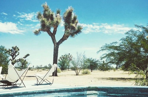 Yucca Valley House | The Ocotillo, Secluded Stargazing, Pool, Hot Tub, Art Gallery & Pets!