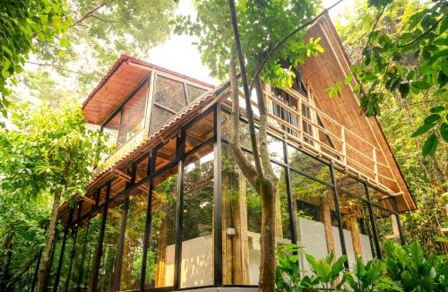 Palenque Other | Tierra Prometida