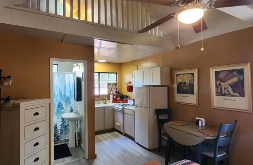 Idyllwild Apartment | Tiny Mountain Cabin under the pines. Close to town. Dogs ok.