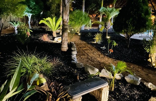 Palmhurst House | Tropical paradise 4 bedroom pool gym Mission TX