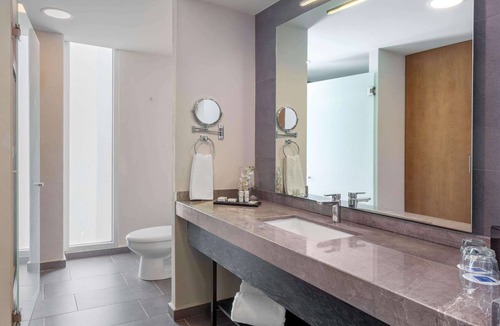 San Luis Potosi Hotel | TRYP by Wyndham San Luis Potosi Hotel & Suites