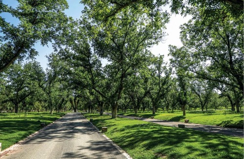 Parras de la Fuente Villa | Tu descanso en la naturaleza