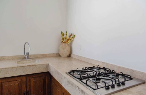 La Cruz Apartment | Unique Suite Historic Center Terrace WIFI+Desk+AC