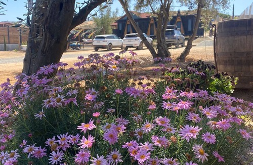 Valle de Guadalupe Cabin | Valle de Guadalupe Finca Cazosa.
