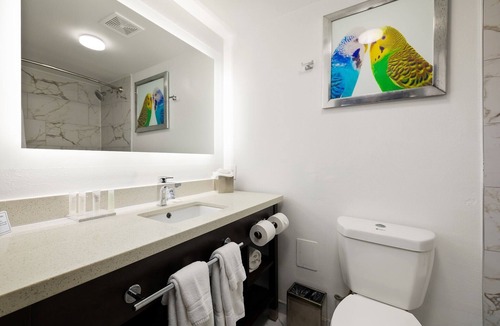 McAllen Hotel | Verta Hotel McAllen