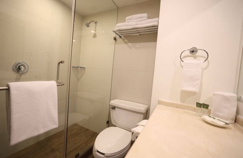 Zona Centro Hotel | Victoria Inn Hotel Express