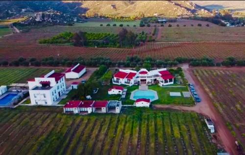 Valle de Guadalupe Villa | Villa Corsua