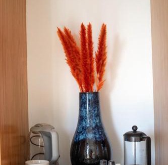 El Pescadero House | Villa Damiana Luxury Hotel