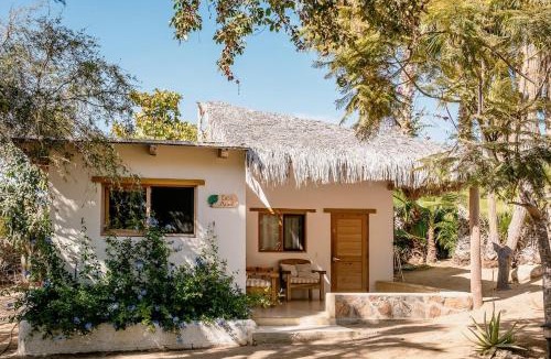 Todos Santos Villa | Villa Gardenia - Oceanfront Casa Arbol w Pool