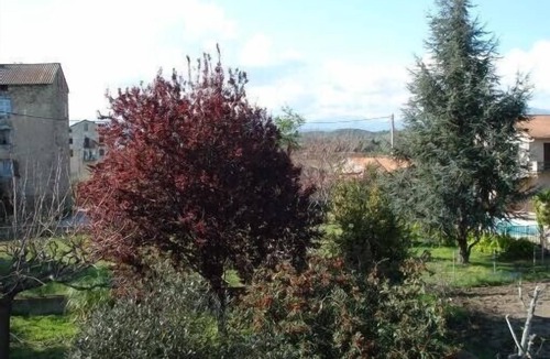 Aleria Villa | Villa with swimming pool - 10 people - Aléria - Haute corse