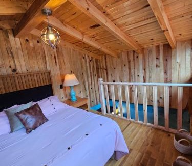 Mazamitla Villa | Villas de los pinos 4