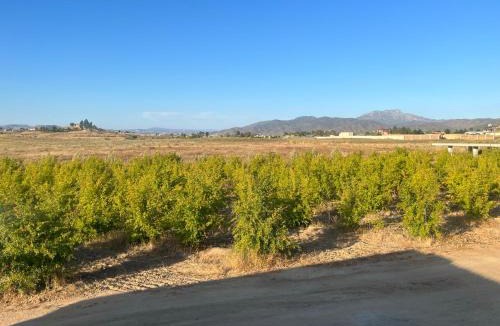 Valle de Guadalupe Hotel | Villas Persas by Jardin de Persia