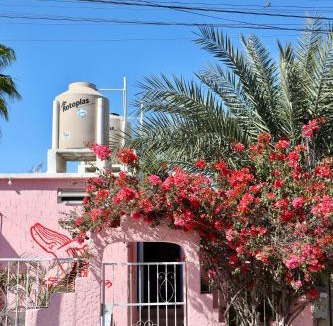 El Rosarito Hostel | Whale Tales Hostel