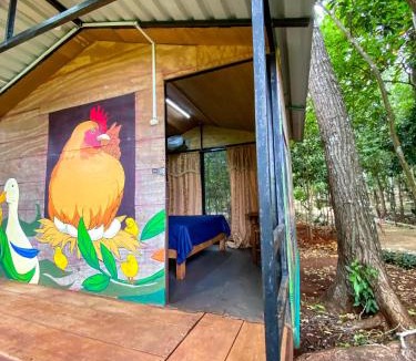 Valladolid Other | Xkopek, Camping y Cabañas