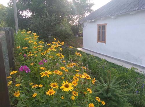 Соколине Гніздо in Medvin