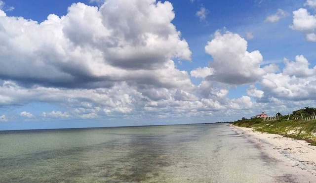 1 bed apartment. 100 feet from water