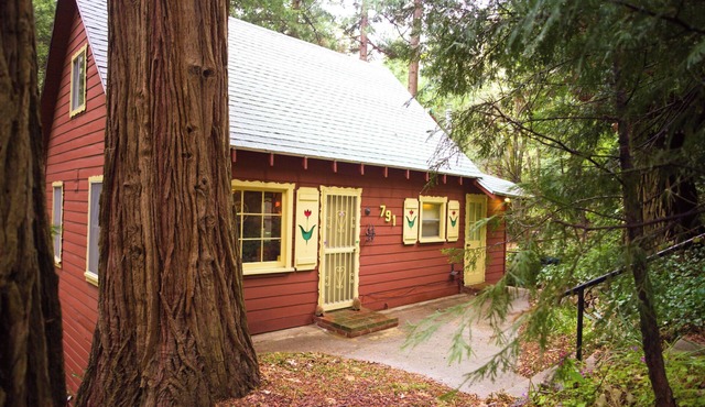 1940s Storybook Knotty Pine Cabin in Crestline, Absolute Privacy