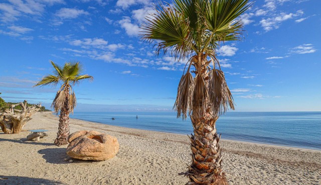 2 bedroom accommodation in Ghisonaccia