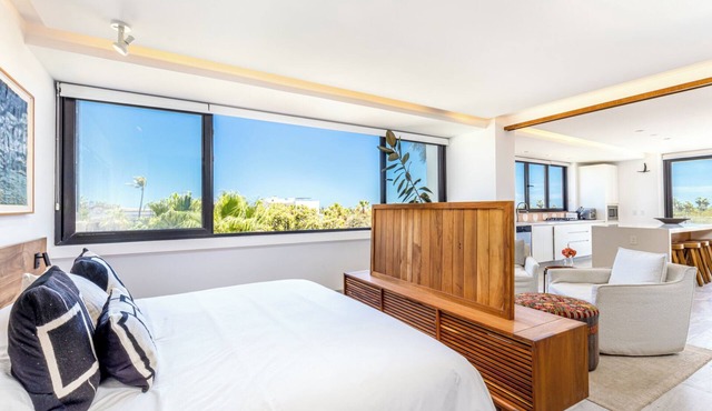 2-bedroom Penthouse in the Art District of San José del Cabo.